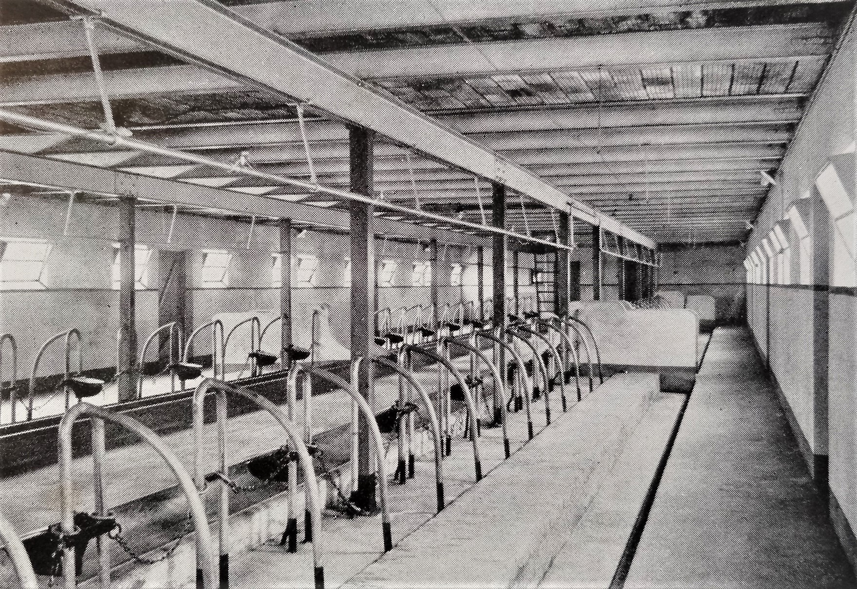 Zwart-witfoto van een veldschuur nabij Tilburg met een grote schuur en populieren, circa 1939-1941.