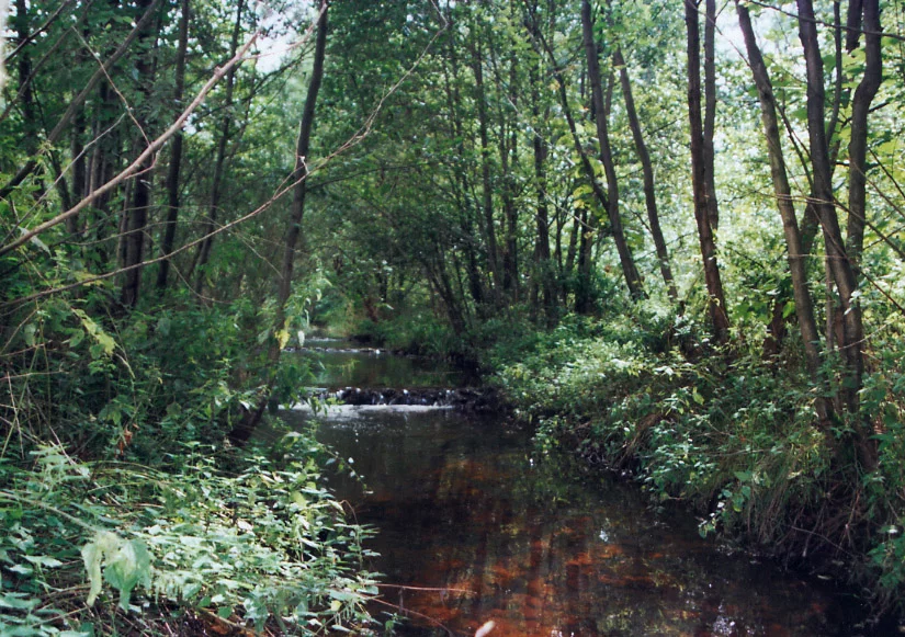 afb01