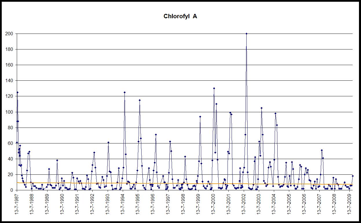 grafiek chlorofyl