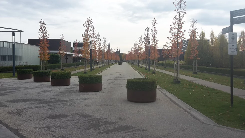 enschede01